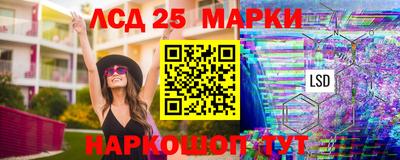 мяу мяу кристалл Малоярославец