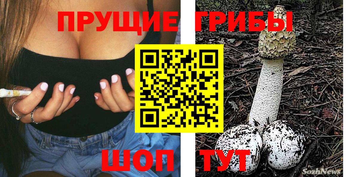 Ялуторовск  Псилоцибиновые грибы ЛСД  что такое   Вход с VPN 